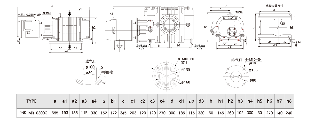 PNK MR 0300C羅茨真空泵（bèng）