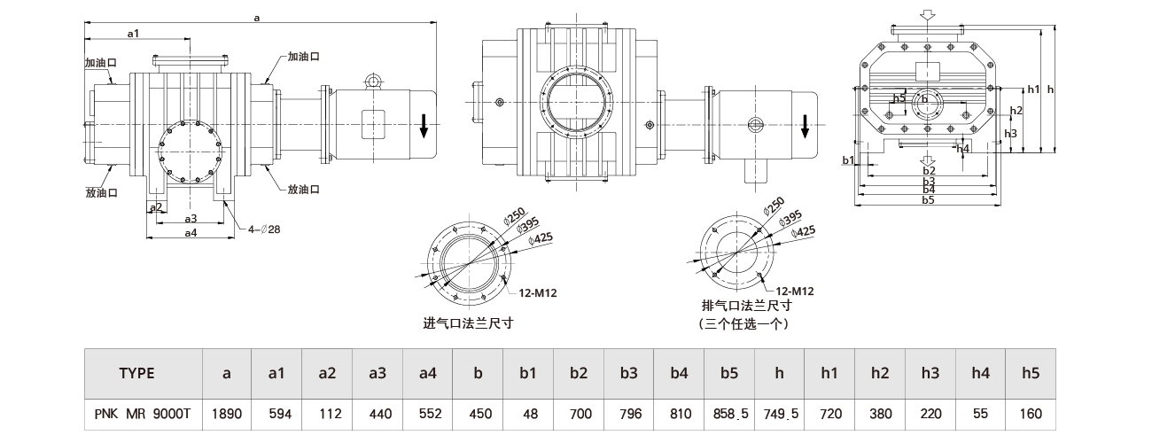 PNK MR 9000T羅茨真（zhēn）空泵